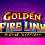 Golden Fire Link Buchae Blossom Slots